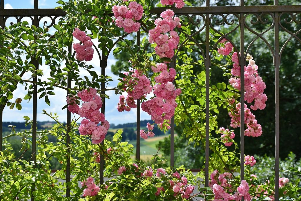 decorar rejas con flores